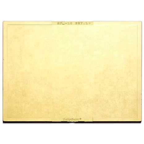 Radnor 4 1/2'' X 5 1/4'' Shade 10 Gold-Coated Poly