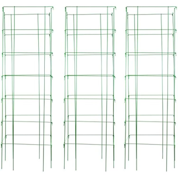 Burpee Extra-Large Heavy Gauge Tomato Cage | 3 Cages for Plant Support in Garden | 18 x 18 x 58 | Made in the USA, Green | Grow Healthier, More Productive Tomato Plants