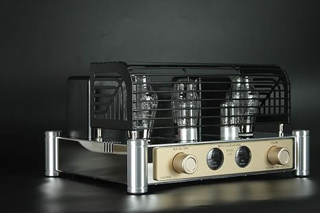 REISONG A50 MKIII 300B HiFi Intergrated Tube Amplifier Single-end Class A Valve Amp with Tube Cage