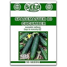 Spacemaster 80 Cucumber Seeds - 50 Seeds Non-GMO