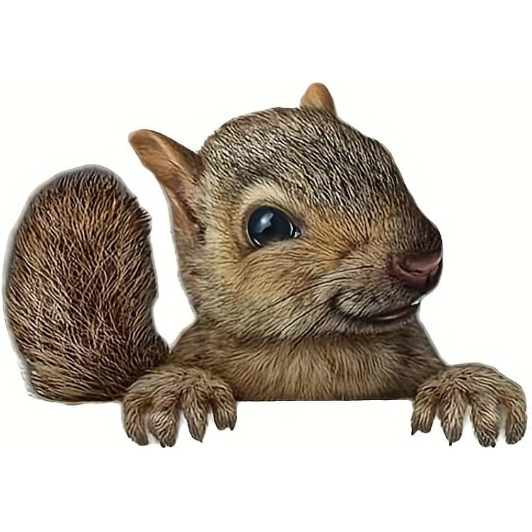 2pcs 3D Squirrel Car Window Decals - Cute Welcome Stickers for Cars, Motorcycles, Water Bottles, Walls, Racing Gear, Gift for Squirrel Lovers