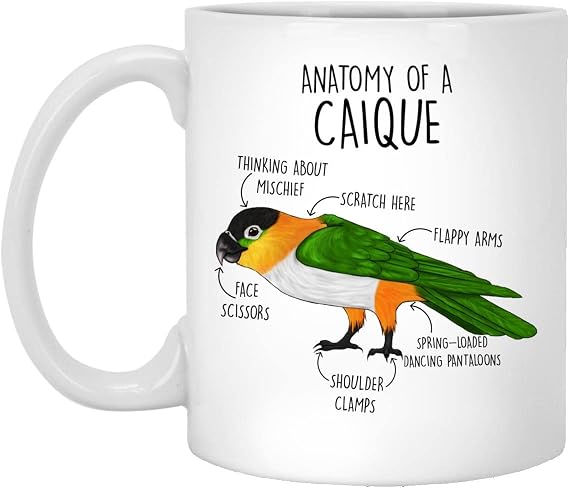 Funny Caique Coffee Mug, Cute Bird Gift, Parrot Lover, Gift For Her, Him, Housewarming, Birthday, White-Bellied Caique Anatomy Cup 11oz
