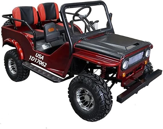 HHH Adults and Youth VITACCI GR2-125cc Go Kart with 3-Speed Semi-Automatic with Reverse and Big 18 inch Aluminium Rim Wheels RPS TK125JP (Red) - Extra Large