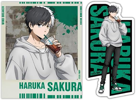 Hagoromo WIND BREAKER Sticker Set, Haruka Sakura No. 83148