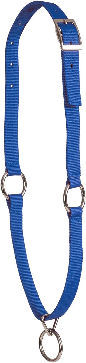 Mustang Neck Collar Blue