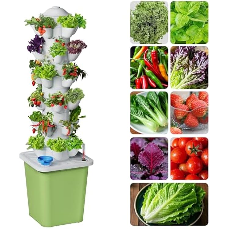 Hydroponics Growing System Kit, 30 Pots Vertical Garden Planter with Pump and Timer, Hydropoic Tower for Soilless Cultivation Herbs Fruits Vegetables, Plant Gift for Gardening LoverNo Seed