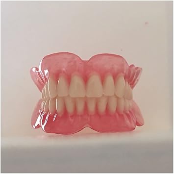 Upper Teeth and Lower Teeth Model - Denture Model - Mouth Tooth Model for Kids or Dentist Students Demonstration Teaching Studying Tool