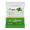 BSG Hops MosaicTM Hop Pellets 1 oz.