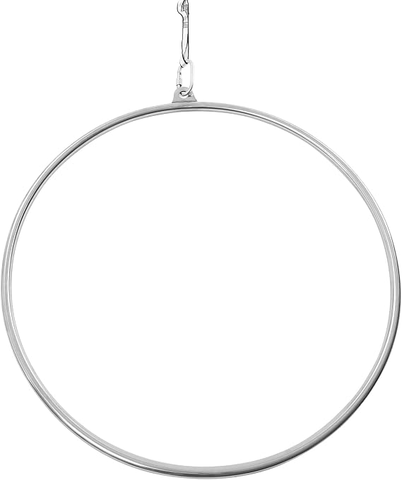 Complete Aerial Hoop Kit Professional Aerial Lyra Hoop Set Pilates Ring Single Point Yoga Ring Dancing Circus Aerial Yoga Equipment for Dancing Yoga Training,Silver