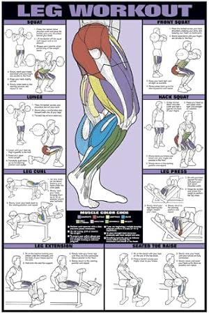 ALGRA Leg Workout 24" X 36" Laminated Chart