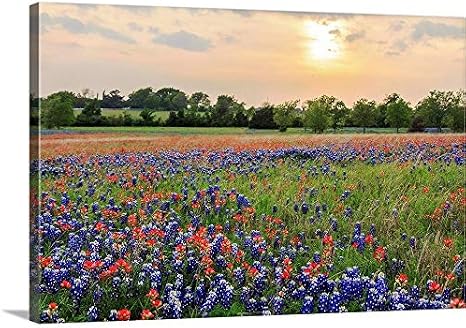 GREATBIGCANVAS A Field of Texas Wildflowers Canvas Wall Art Print, Countryside Home Decor Artwork, 36"x24"x1.5"