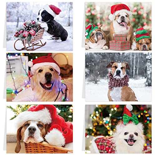 Fancy Land Dog Christmas Cards Assortment Holiday Greeting Card with Envelopes 24Pcs