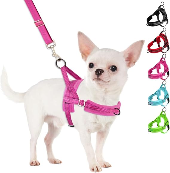 SlowTon No Pull Small Dog Harness and Leash Set with Front Clip