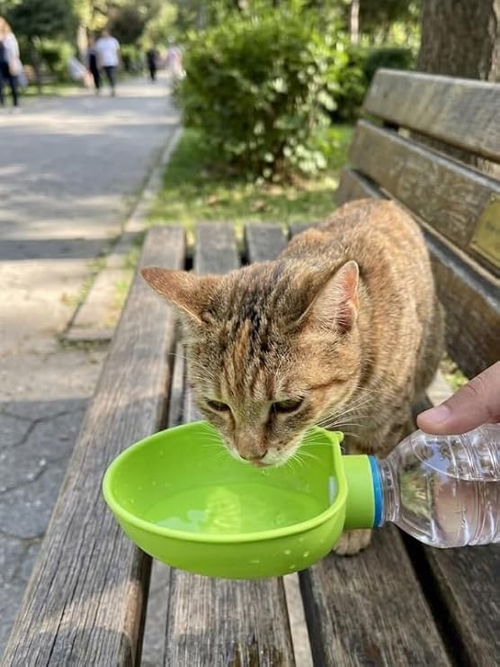 Hayvan Dostu Pet Şişeye Uyumlu Suluk Başlığı İpli Çantaya Takılabilir