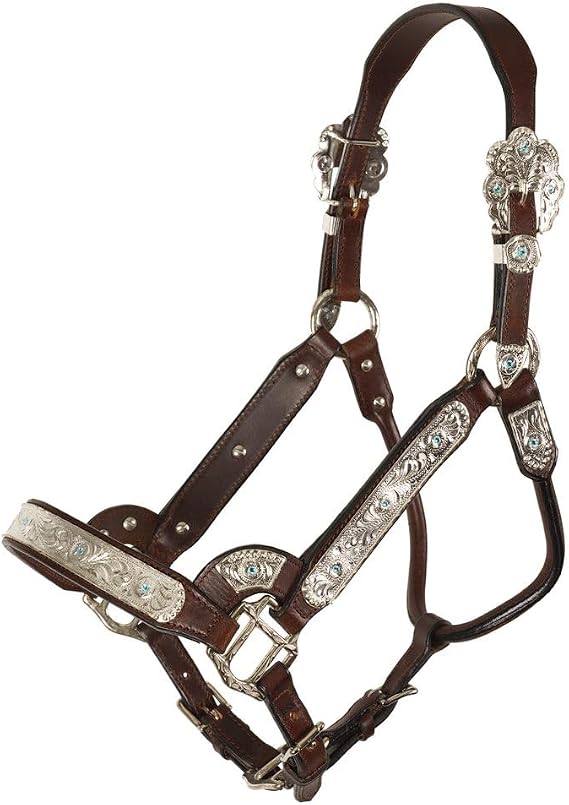 Schneiders Dixie II Show Halter for Horses with Lead | Entry-Level Silver-Plated Design | Hand-Tooled Accents | Adjustable Fit | Includes Matching Leather Lead | Color Dark Oil | Size Full Horse