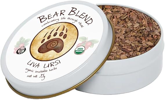 Uva Ursi, Bearberry, Kinnikinnick, Smokable Herbs from Bear Blend