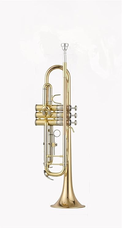 Trumpet Trumpet Bb B Flat Brass Trumpet Trumpets Beginner Trumpet Set