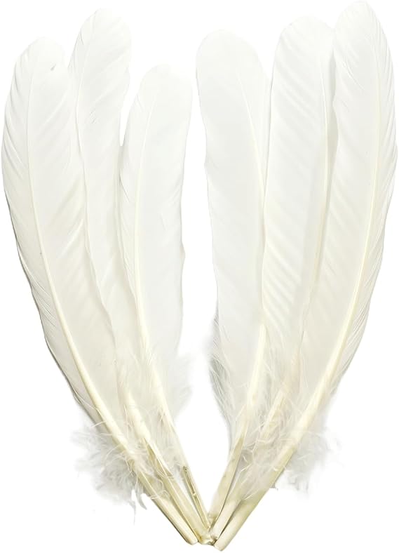 White Feathers,Natural Big Long Goose Feather,8-10 inch (21-25cm),Large Size Bilateral Feathers,Left and Right Wings for Crafts,Bulk 24pcs (Natural White-1)