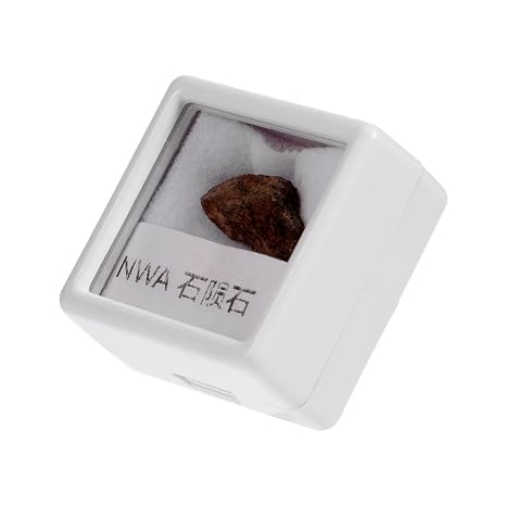 Olive Meteorite Specimen Stone Display for Teaching and Decor | Irregular Shape, Charming Creative Finish, Roughly 1.5g Weight, Suitable for Gifts and Festivals Random Color