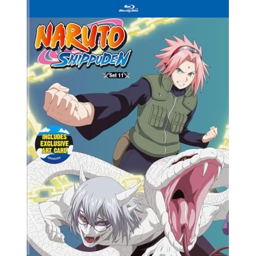 Naruto Shippuden Blu-ray Set 11