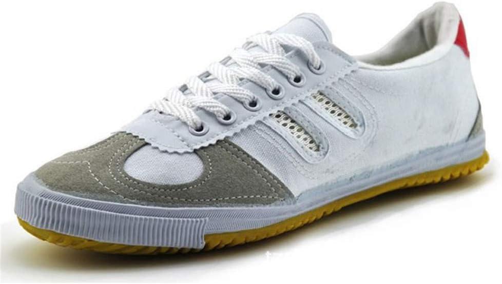 Martial Arts Shoes, Non-Slip Tai-Chi Shoes Canvas Wing Chun Shoes for Unisex,White,45