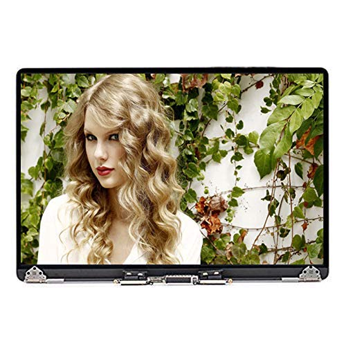 WARWOLFTEAM Replacement New 2018 Full LCD Screen Display Asembly for MacBook Pro Retina 15" A1990 EMC 3215 Silver