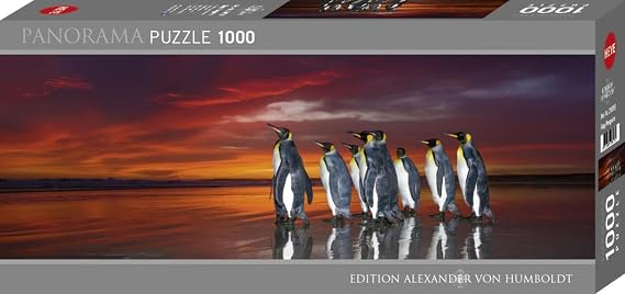Heye HY29858 Puzzle, Various