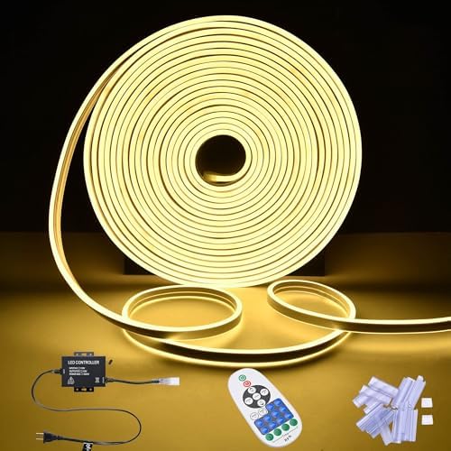 DELight 50FT Warm White Neon Rope Lights with Remote Control AC 110V IP65 Waterproof Cuttable Dimmable Flexible LED Strip Lights DIY for Commercial Indoor Outdoor DEL-D50W