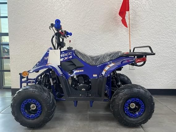 Taotao 110cc Four Wheelers 6" Tires Atvs Kids ATV Blue