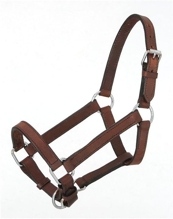 Royal King Miniature Leather Halter