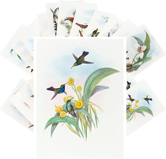 PIXILUV Vintage Postcards (24 pcs 4"x6" each) Colibri and Small Birds Antique Botannical Book Illustration Vintage Notecards Retro Greeting Card Reprint