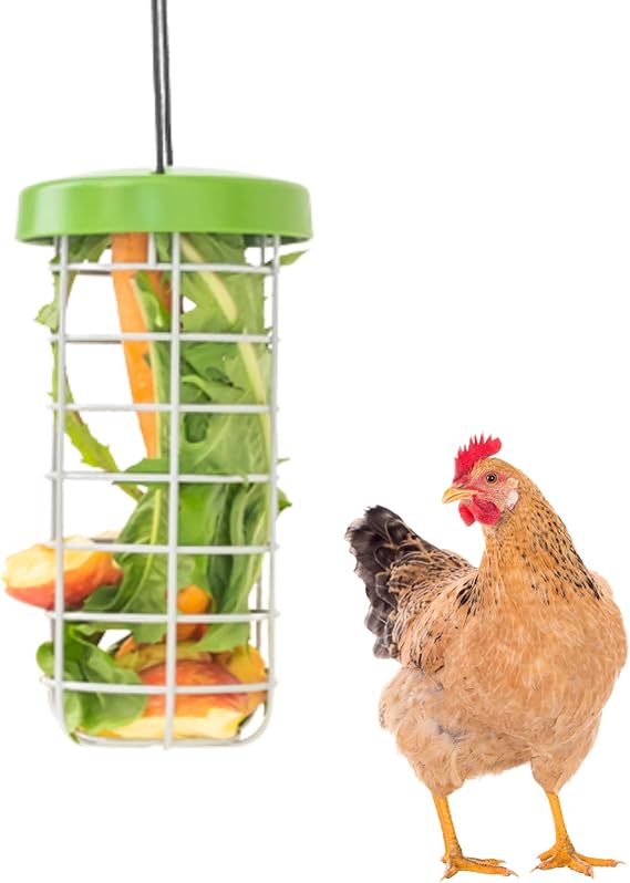 Omlet Caddi Chicken Treat Holder | Attaches Easily to Any Chicken Run | Durable and Practical | Fresh and Healthy Chicken Feeder | Interactive Fun for Your Chickens