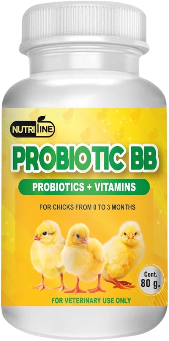 Probiotic BB Probiticos y Vitaminas para Pollitos 80 g (2.82 oz) Apoyo Nutricional Integral para un crecimiento saludable