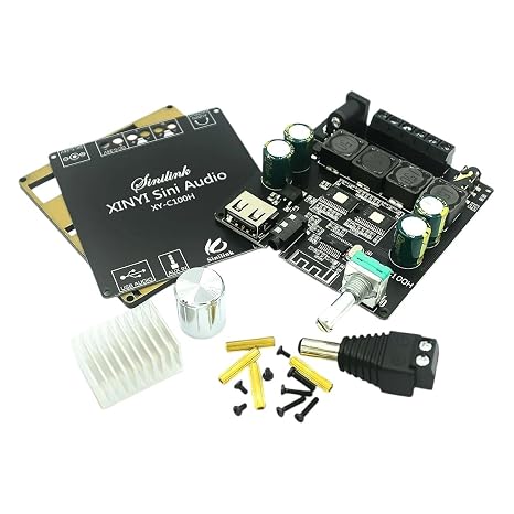 Xinyi Sini Audio 100W HiFi Level Stereo Blutouth Digital Amplifier Board Module TPA3116 New for Arrival 2025 High for Quality