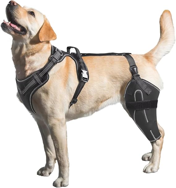 Dog Knee Brace for Torn ACL Hind Leg,Better Recovery-Left leg-XL