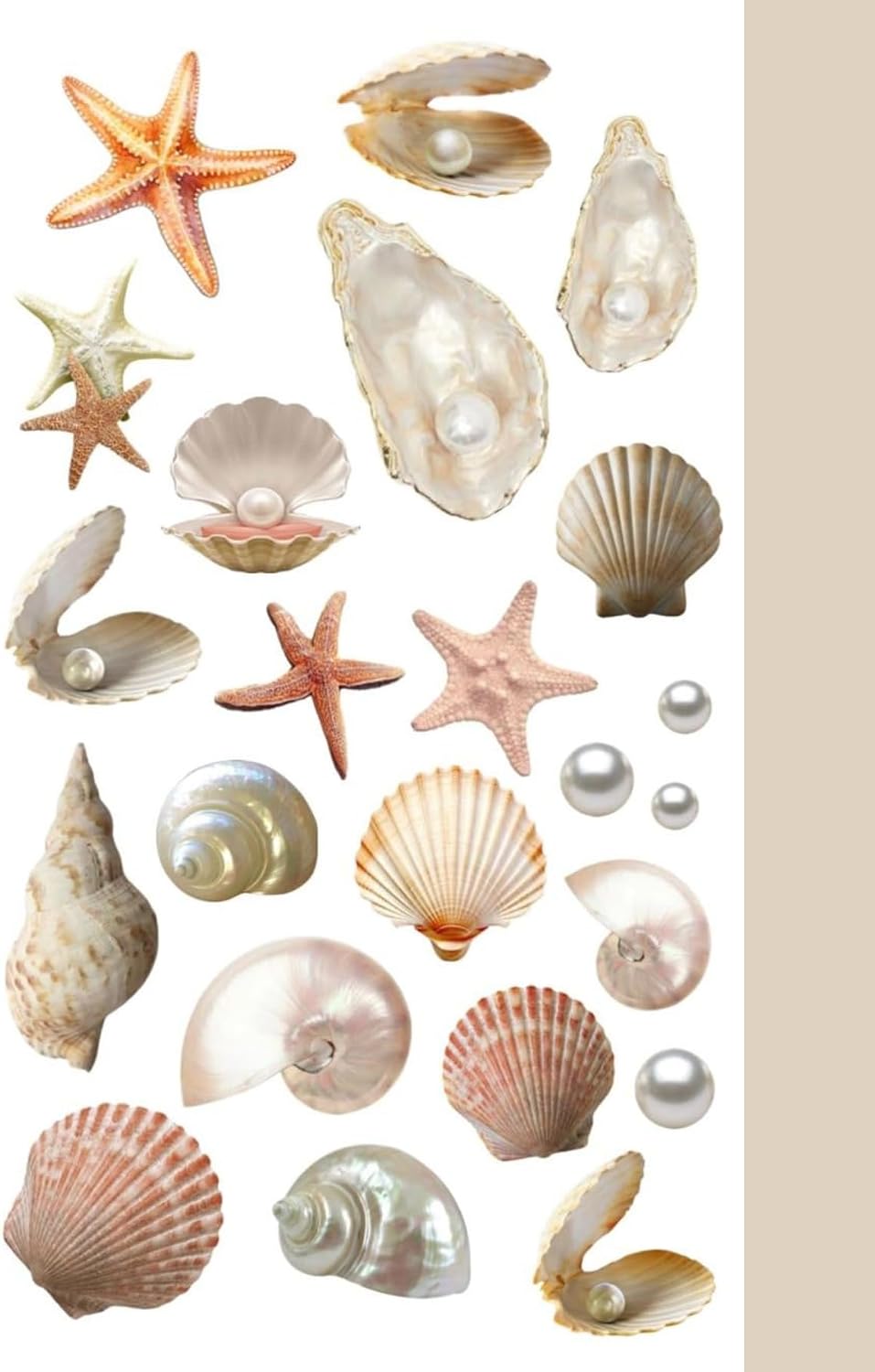 Seashell Collection Sticker, Ajanda ve Günlük için Çıkartma, Yüksek Kaliteli Kağıt, Kendinden Yapışkanlı, 10x20 cm, Planlayıcı ve Bullet Journal için, Deniz Kabuğu Temalı