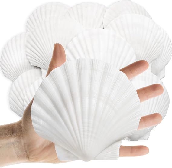 Lanwexy 20PCS Sea Shells Scallop Shells Natural White Sea Shells for DIY Craft Crafting,Painting,Baking,Home Decor and Beaching Wedding Decoration (10-12CM) Seashells Bulk