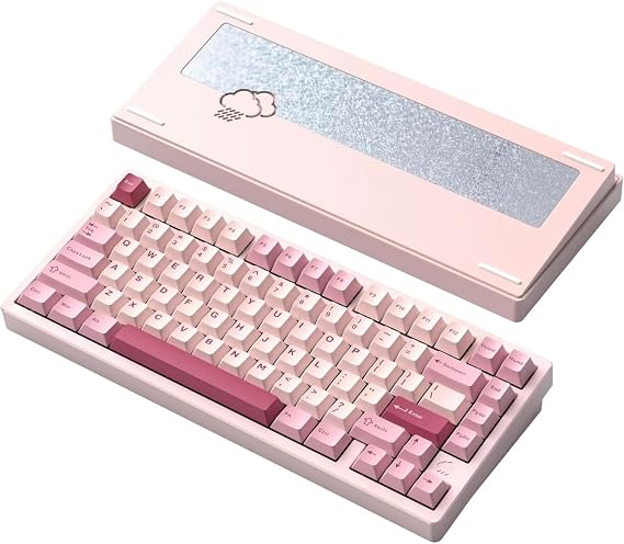 WOBKEY Rainy 75 Mechanical Keyboard/Raindrop-like Typing Feel/Customizable Features/Hot-swap & VIA Support/Gasket Structure/Aluminum Casing/Wireless Connection/RGB Backlight Pink