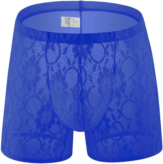 Pouch Panties Men's See Through Boxer Briefs Lace Mesh Sexy Large Pouch Briefs