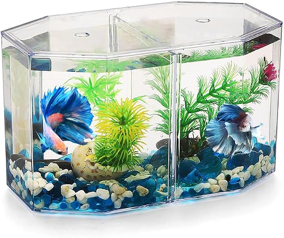 Octagonal Betta Fish Tank, HD Transparent Double Fish Tank, Double Cubicle Rhombus Betta Fish Bowl, Desktop Small Clear Goldfish Aquarium, Removable Fence, Home Decor Ornament