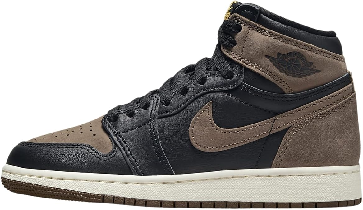 Air Jordan 1 High Og (gs)
