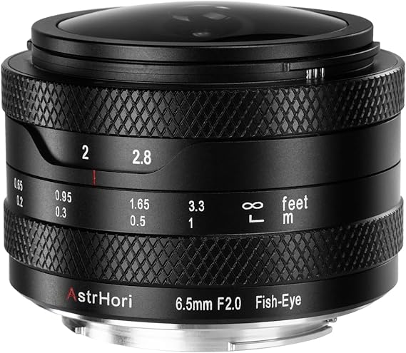 ASTRHORI 6.5mm F2.0 APS-C Manual Circular Fisheye Lens,192 Ultra Wide Angle Lens for Sony E Mount Mirrorless Cameras A5000 A5100 A6000 A6100 A6300 A6400 A6500 A6600 NEX-3 NEX-3N