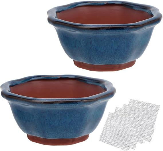 Bonsai Planter Succulent Small Glazed Pots, Value Set of 2 + 4 Soft Mesh Drainage Screens