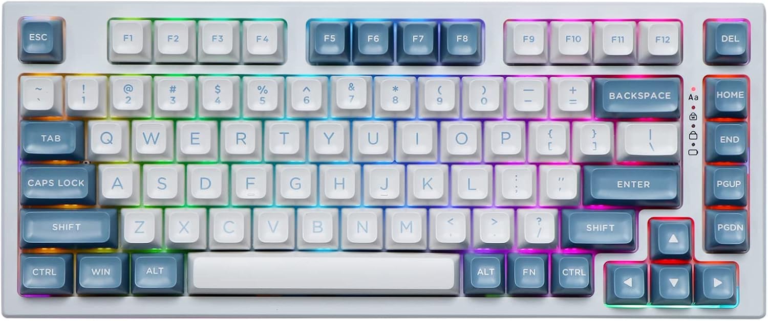 EPOMAKER EP75 75% Mechanical Keyboard, Hot Swap BT5.02.4GUSB-C Wired Gaming Keyboard, with 10000mAh Battery, RGB Backlights, Double Shot PBT Keycaps for LinuxWinMacPampas, Budgerigar Switch
