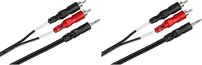 HOSA CMR-206 3.5 mm TRS to Dual RCA Stereo Breakout Cable, 6 Feet,Black Pack of 2