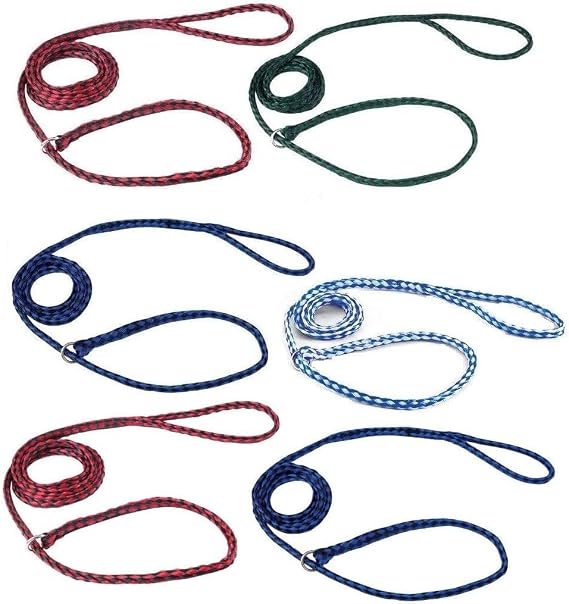Bulk Pack Strong Dog Control Slip Lead Leashes Assorted Color Vet Rescue Kennel Choose Quantity (6 Leads)
