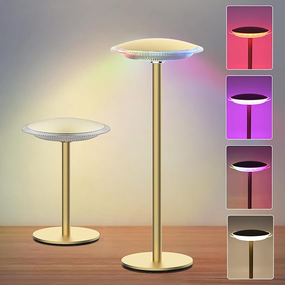 LED Cordless Table Lamp Rechargeable Battery Desk lamp,Brightness Dimmable Portable Night Light,for Reading/Couple Dinner/Coffee Table/Restaurant/Bedroom,Nightstand for Home Decor (2 Pack)