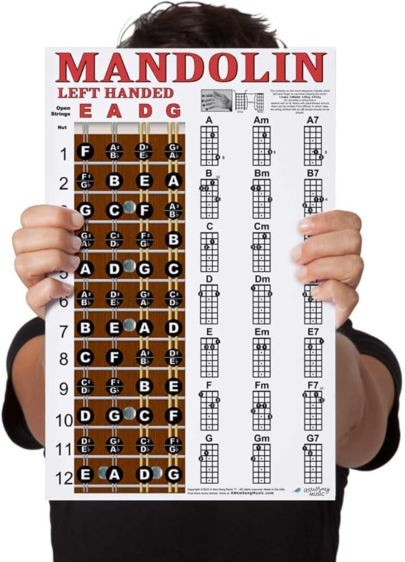 Left Handed Mandolin Chord Chart Fretboard Notes Poster Laminated 11x17