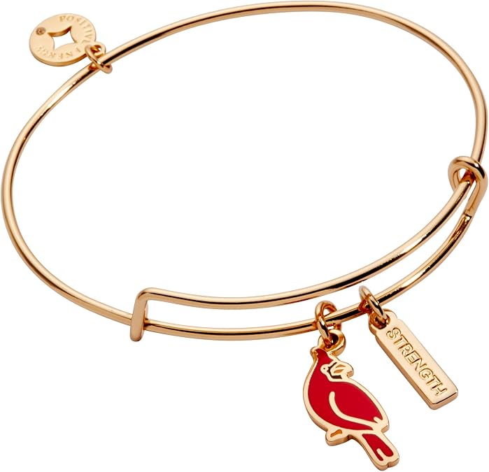 Alex and Ani Strength' Cardinal Duo Charm Bangle Bracelet
