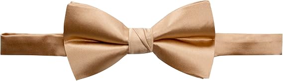 Spring Notion Men's Solid Color Satin Microfiber Bow Tie